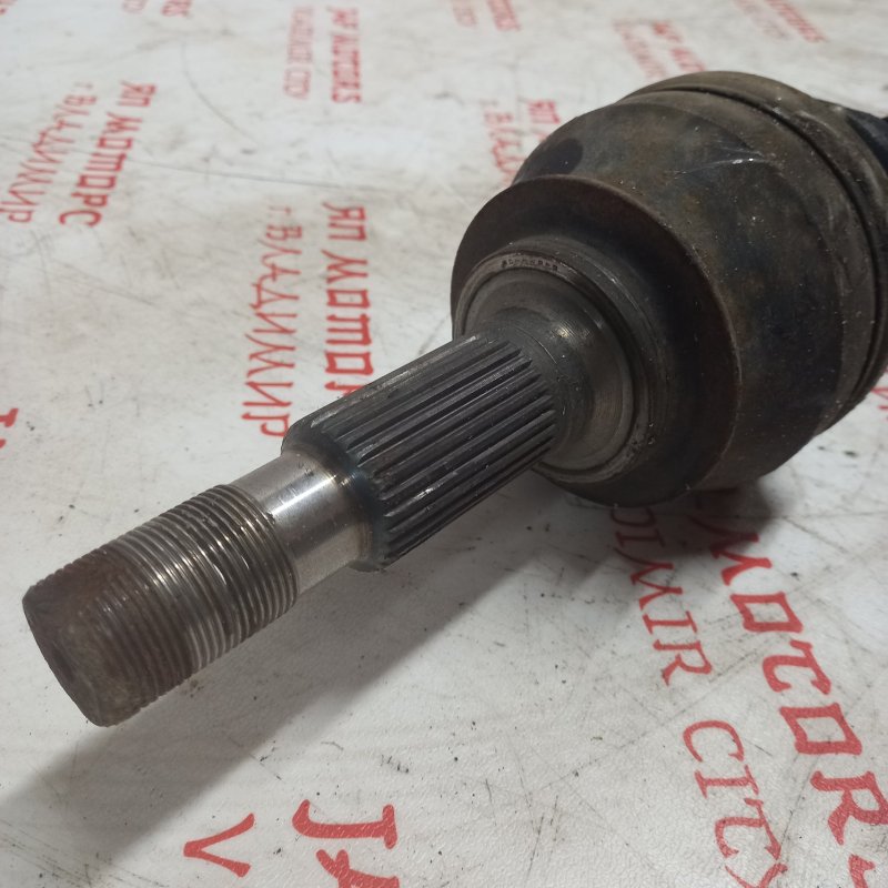 Привод, 4000 рублей, Владимир