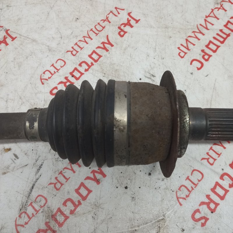 Привод, 5000 рублей, Владимир