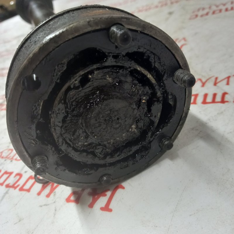 Привод, 3500 рублей, Владимир