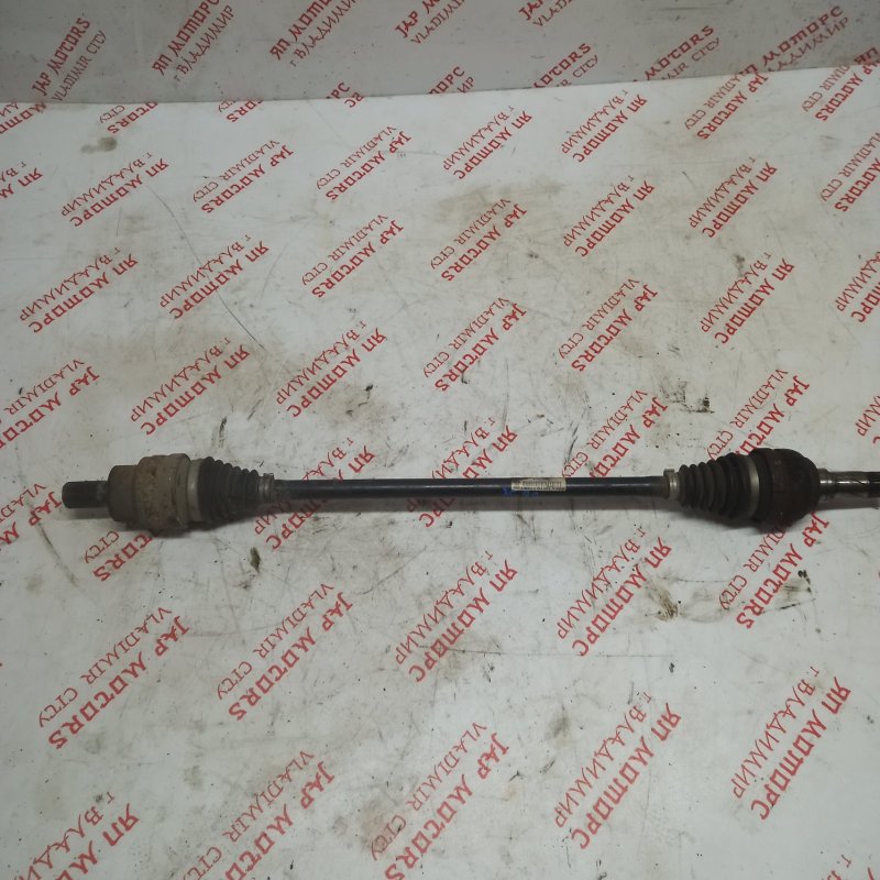 Привод, 3000 рублей, Владимир