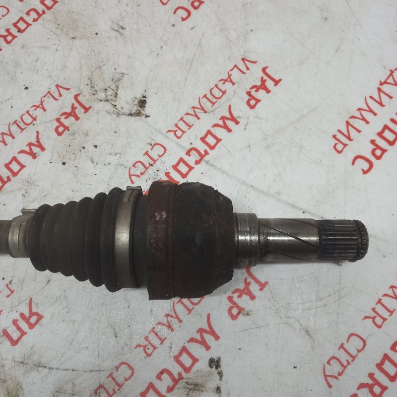 Привод, 3000 рублей, Владимир