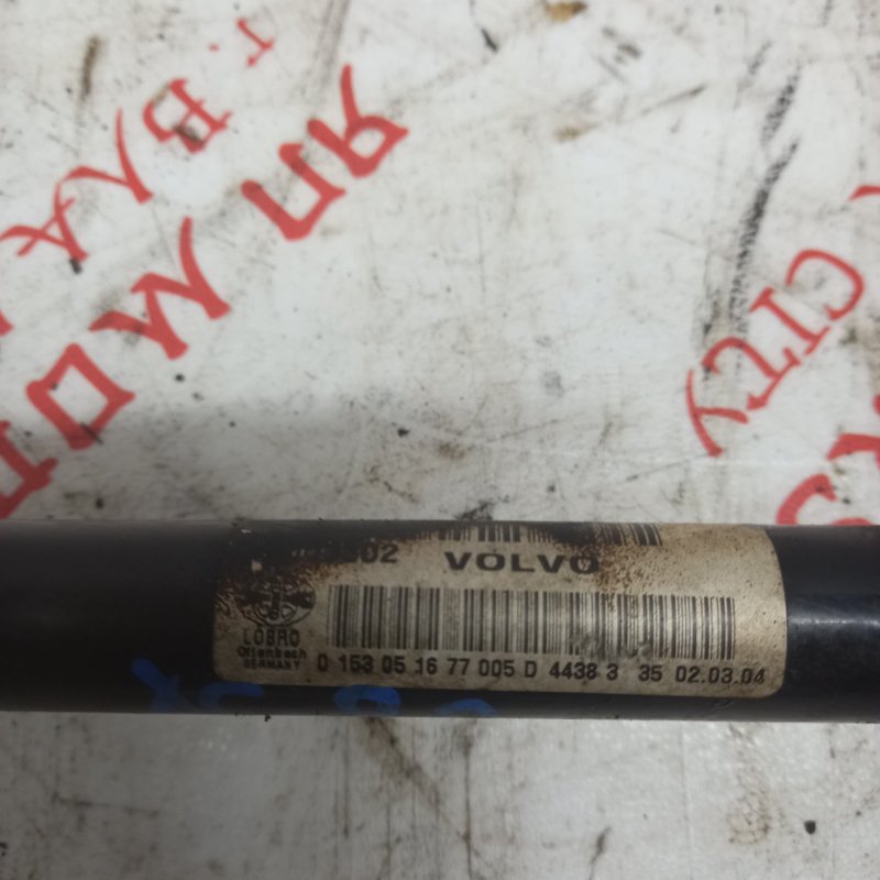 Привод, 3000 рублей, Владимир