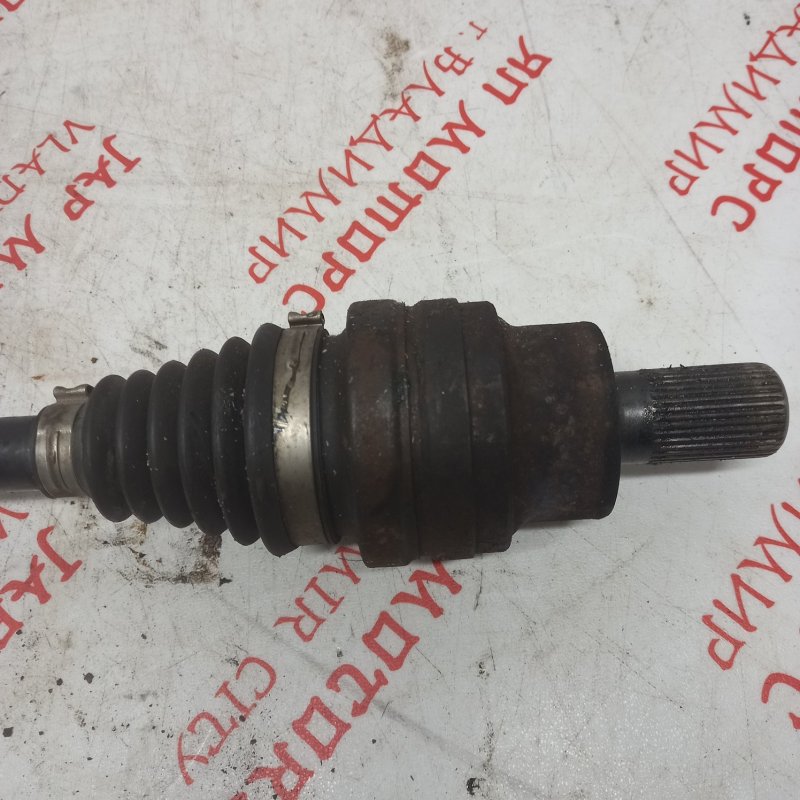 Привод, 3000 рублей, Владимир