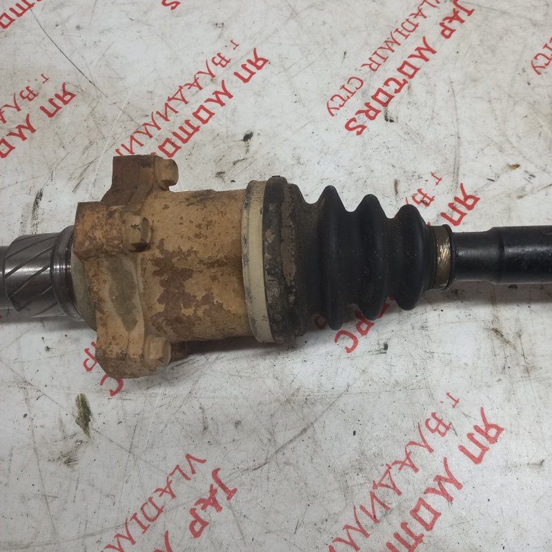 Привод, 6500 рублей, Владимир