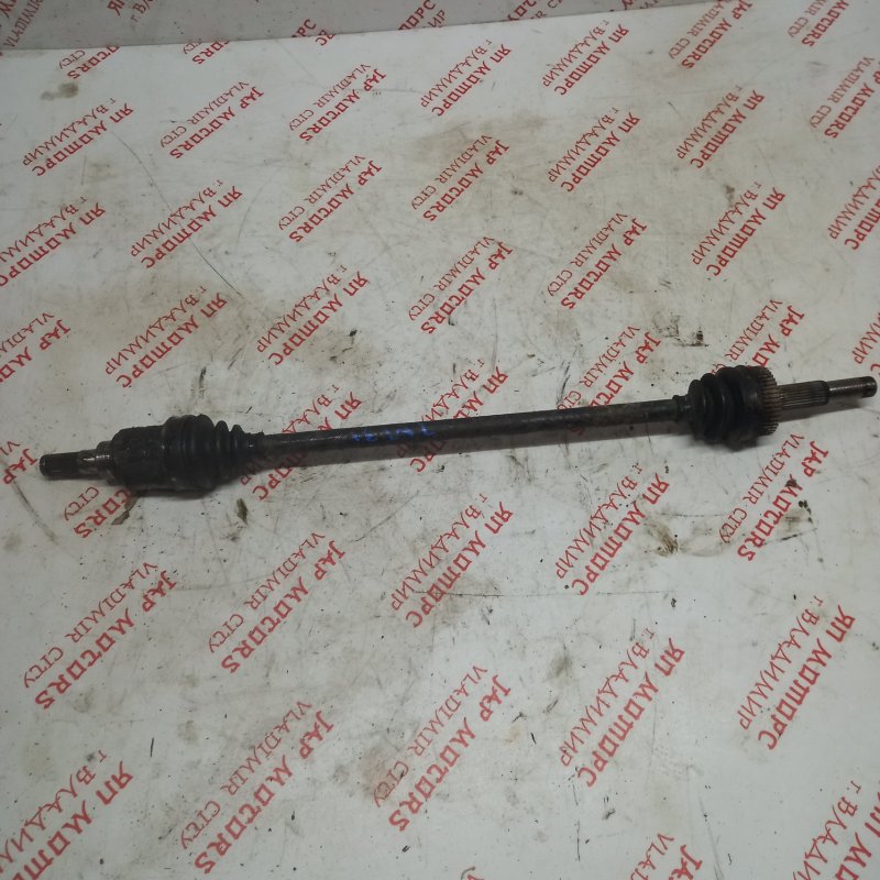 Привод, 2500 рублей, Владимир