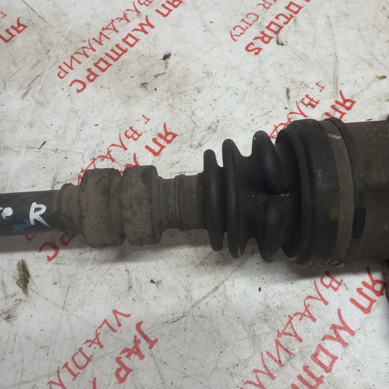 Привод, 10000 рублей, Владимир