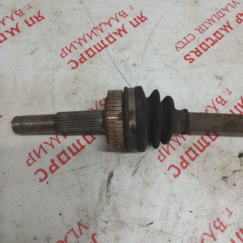 Привод, 3000 рублей, Владимир