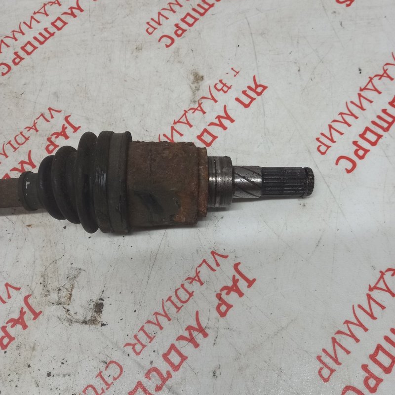 Привод, 3000 рублей, Владимир