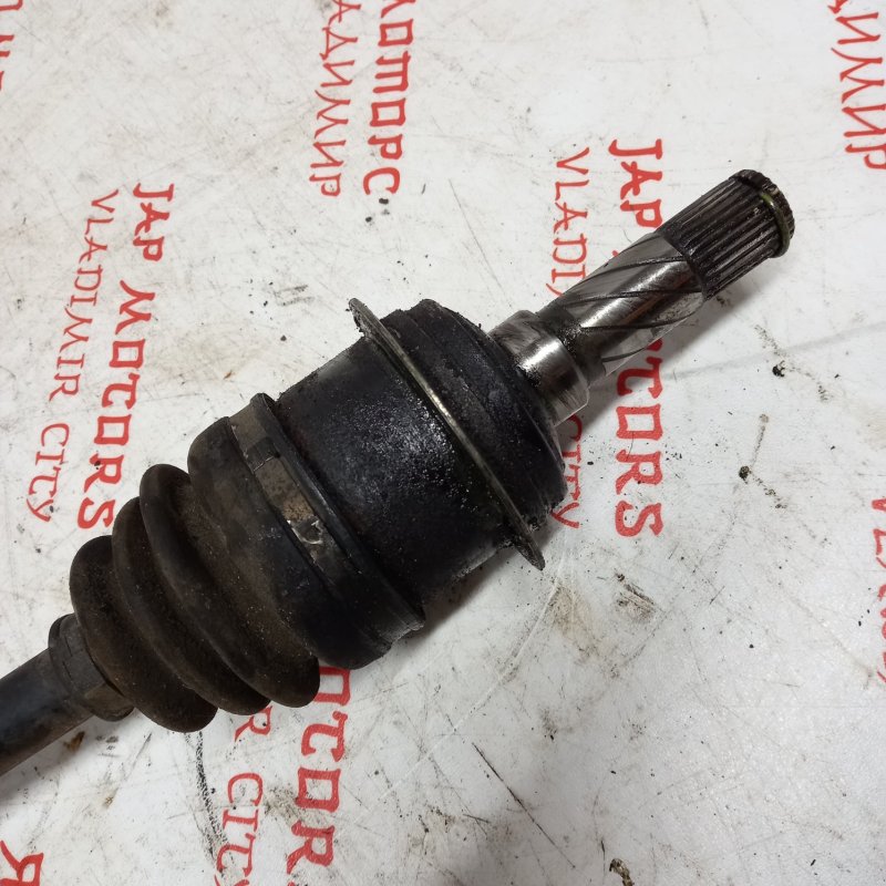 Привод, 3000 рублей, Владимир