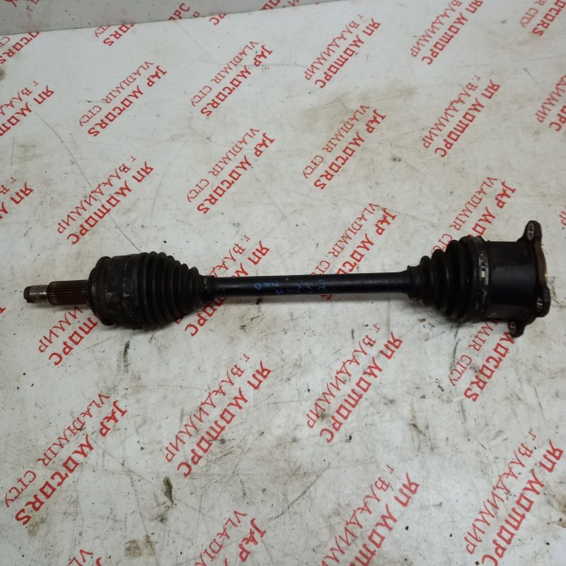 Привод, 12000 рублей, Владимир