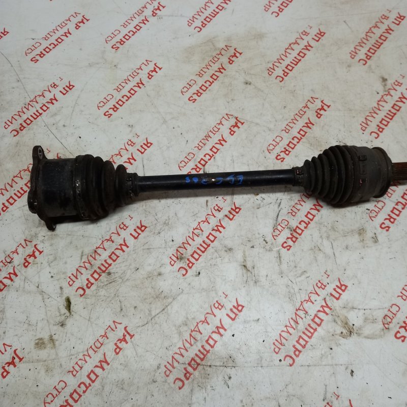 Привод, 4000 рублей, Владимир