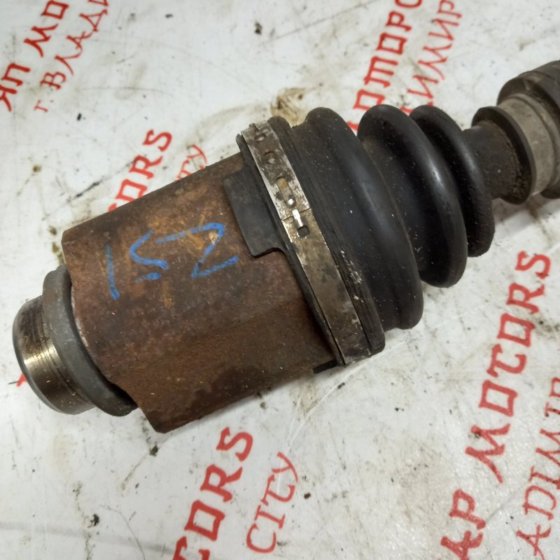 Привод, 14000 рублей, Владимир