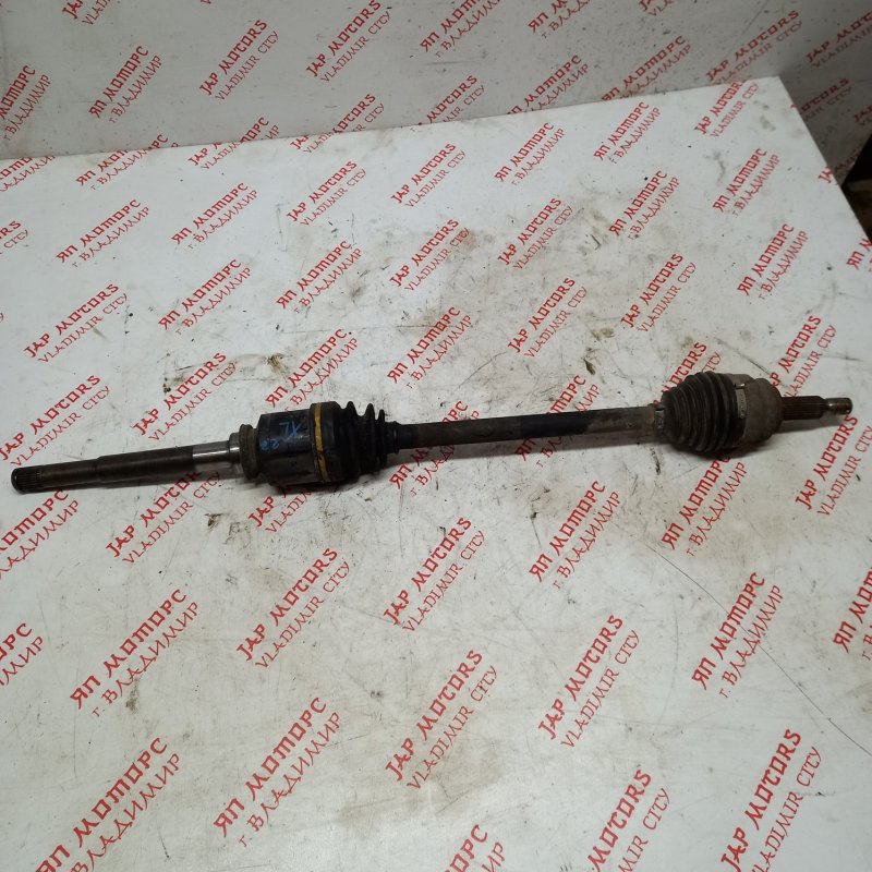 Привод, 7000 рублей, Владимир