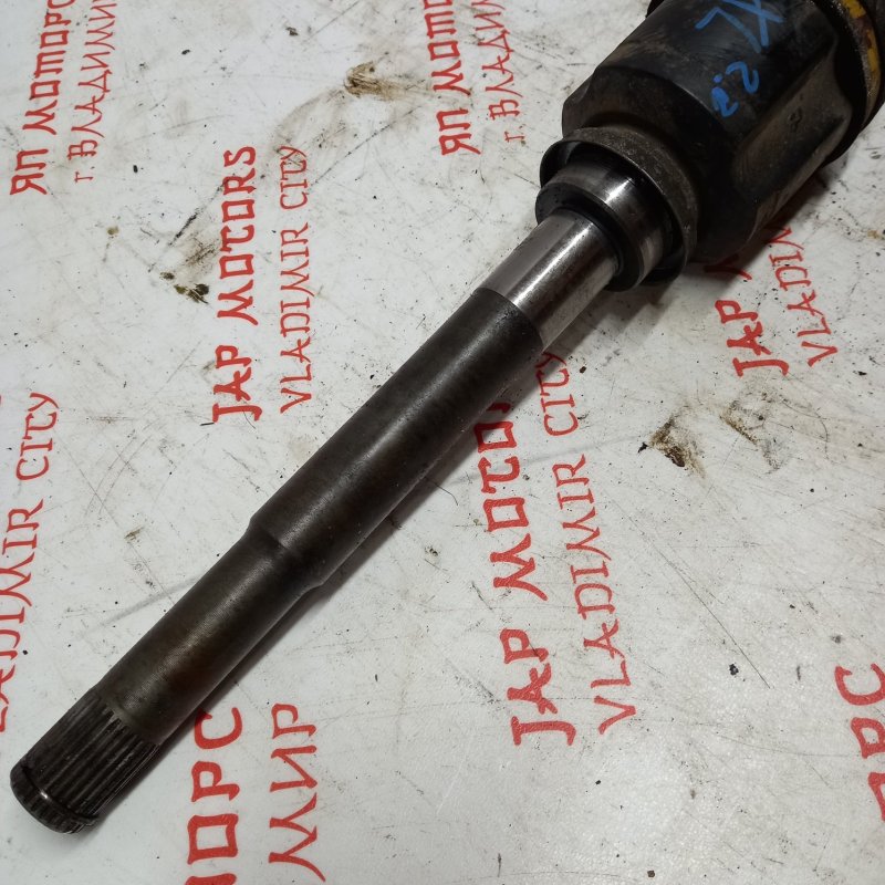 Привод, 7000 рублей, Владимир