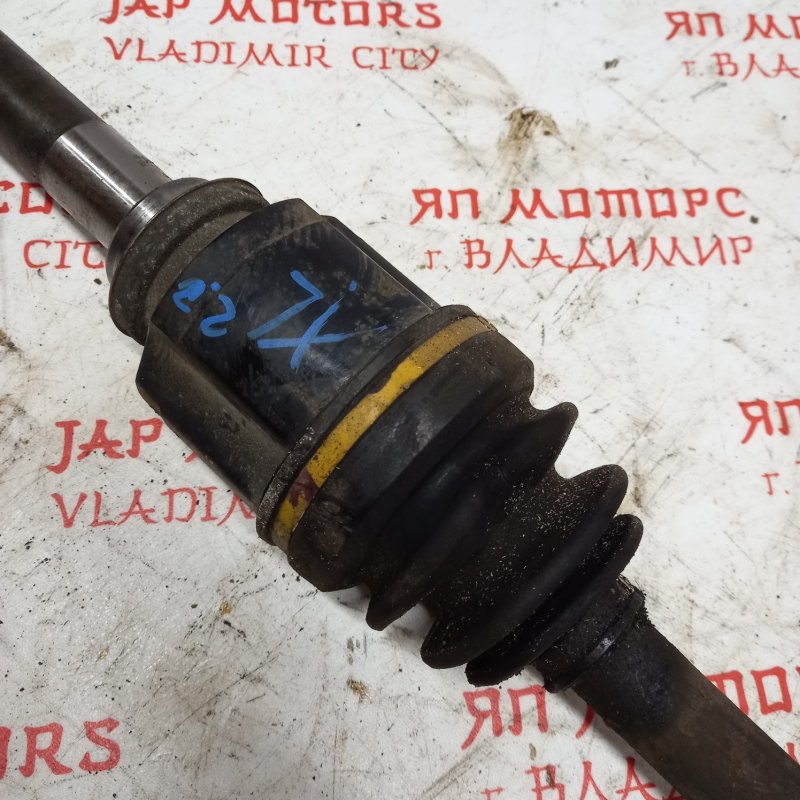 Привод, 7000 рублей, Владимир