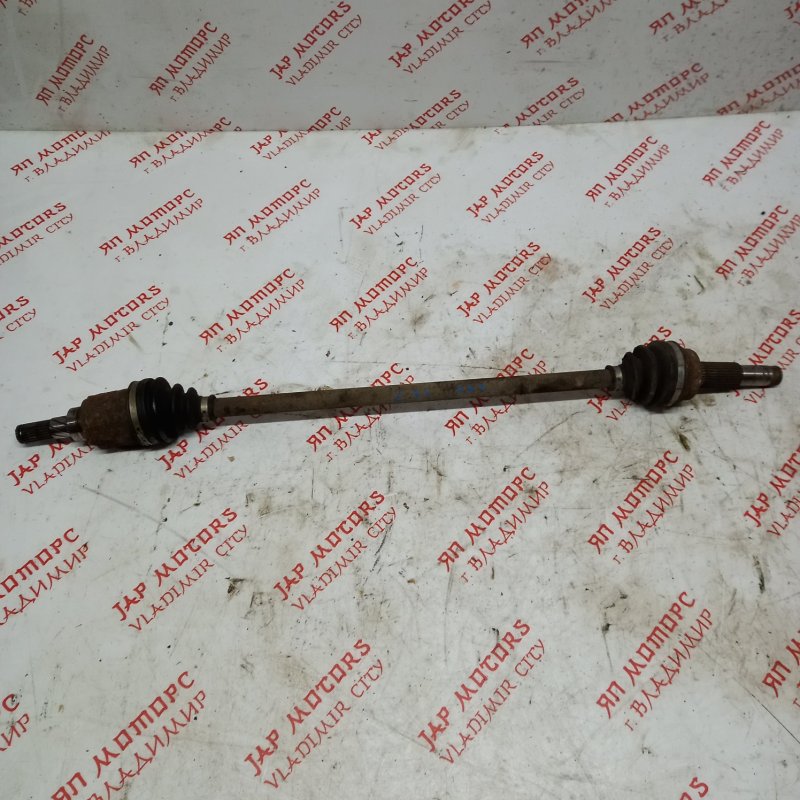 Привод, 3000 рублей, Владимир