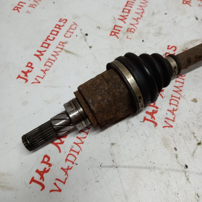 Привод, 3000 рублей, Владимир