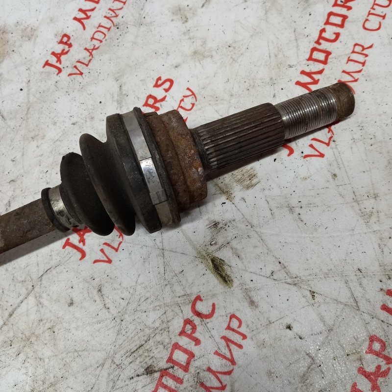 Привод, 3000 рублей, Владимир