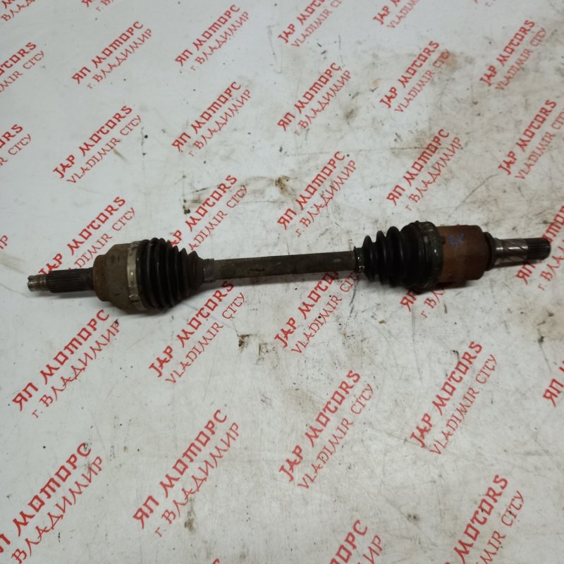 Привод, 10000 рублей, Владимир