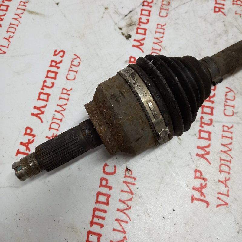 Привод, 10000 рублей, Владимир