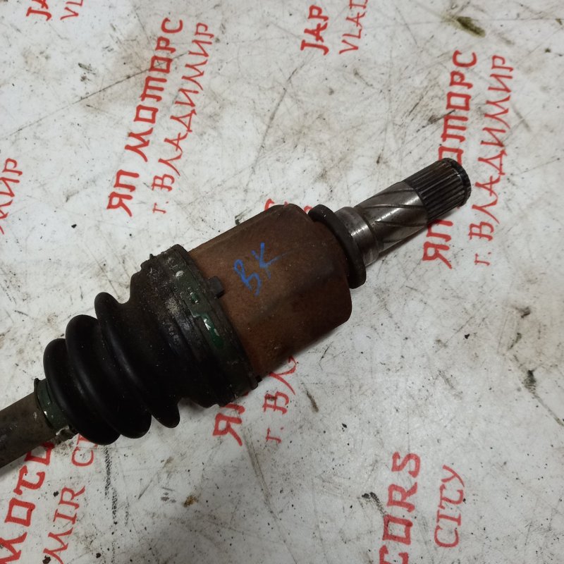 Привод, 10000 рублей, Владимир