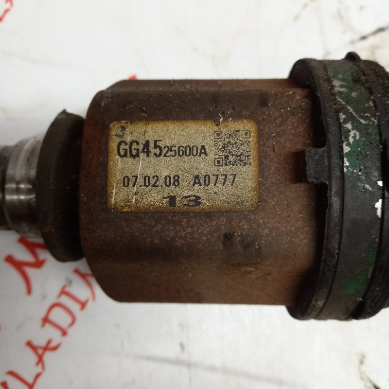 Привод, 10000 рублей, Владимир