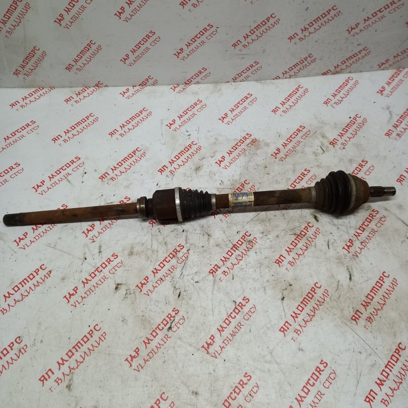 Привод, 7000 рублей, Владимир