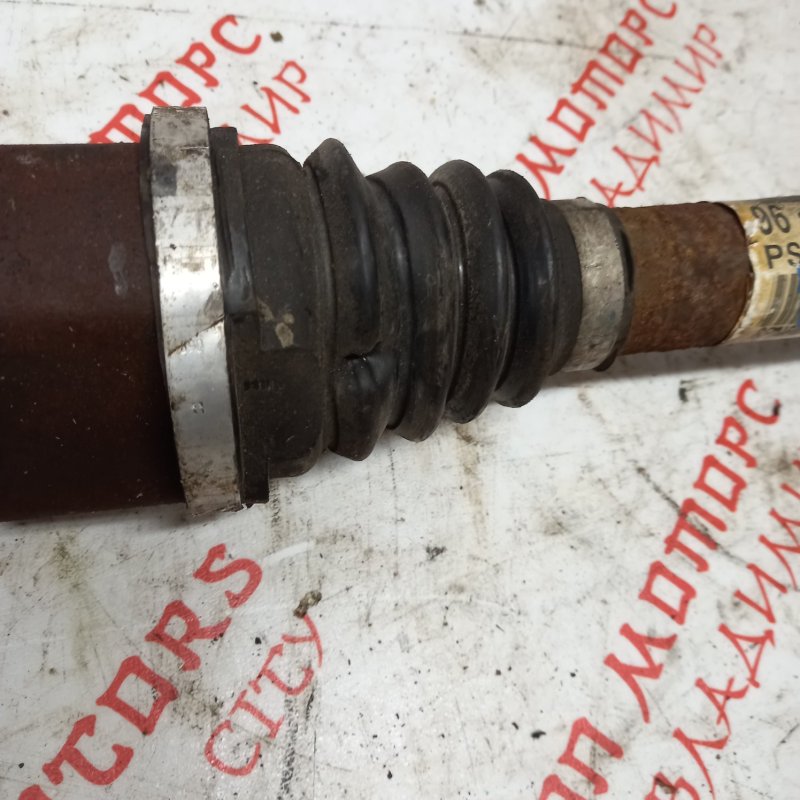 Привод, 7000 рублей, Владимир