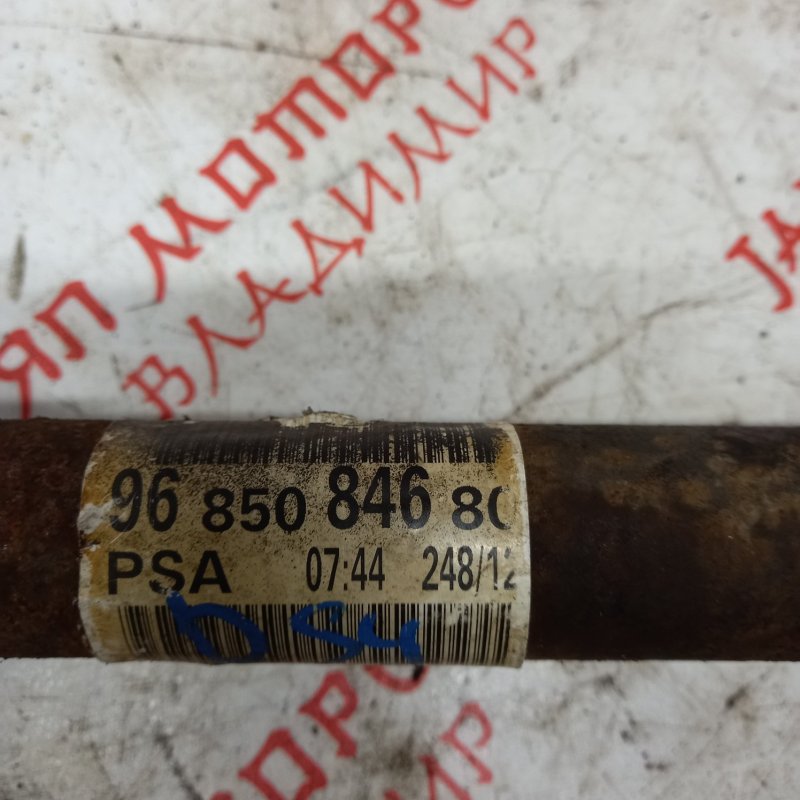 Привод, 7000 рублей, Владимир