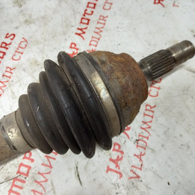 Привод, 7000 рублей, Владимир