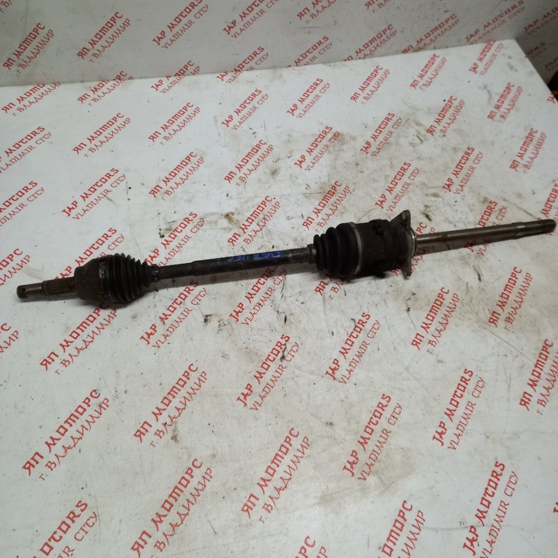 Привод, 10000 рублей, Владимир