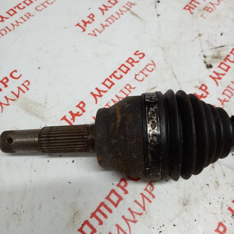 Привод, 10000 рублей, Владимир