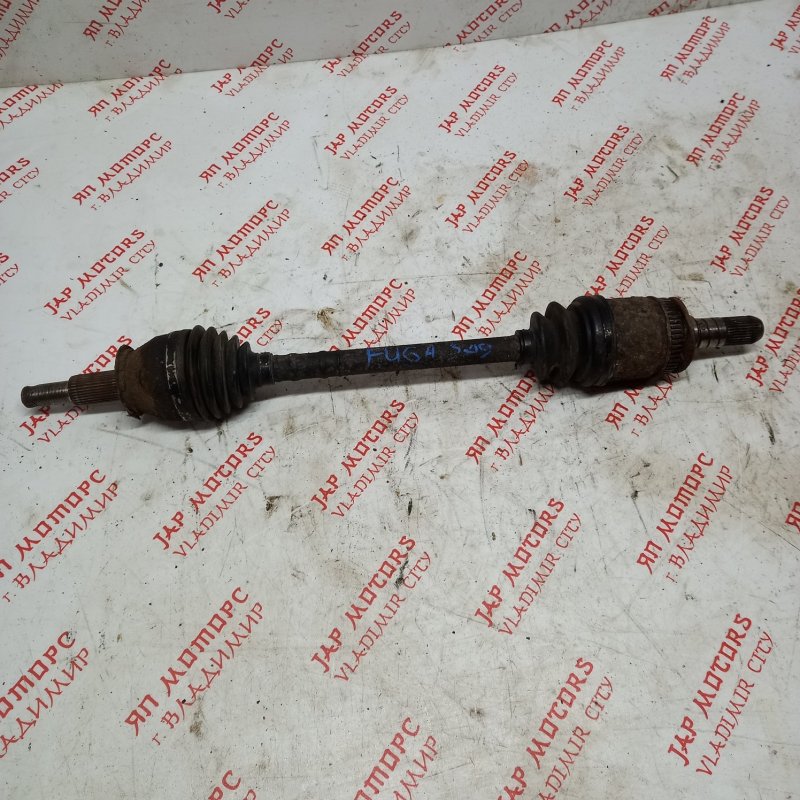 Привод, 4000 рублей, Владимир