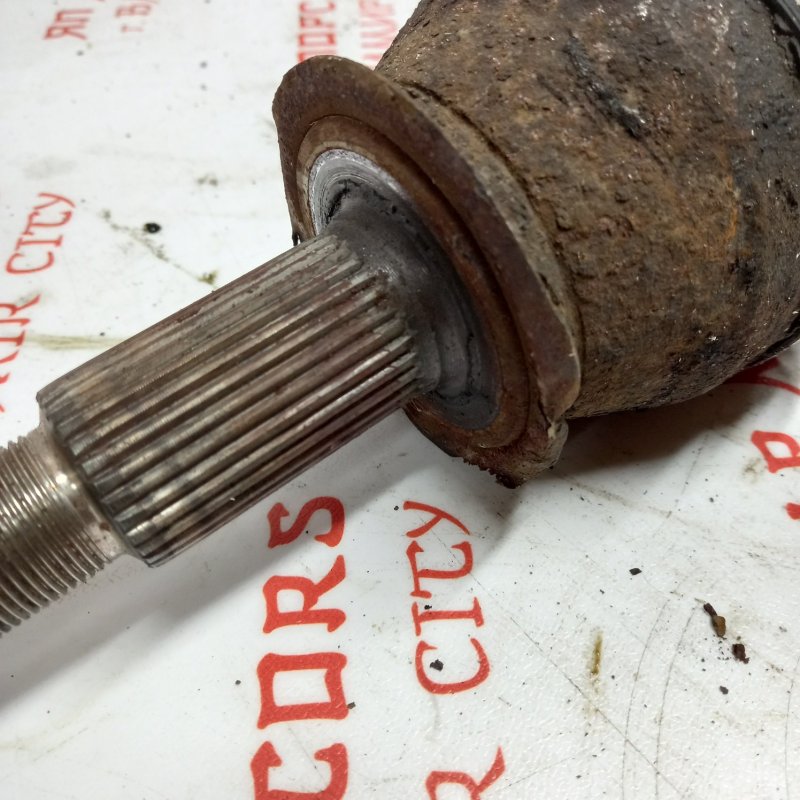 Привод, 4000 рублей, Владимир