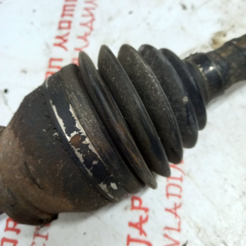 Привод, 4000 рублей, Владимир