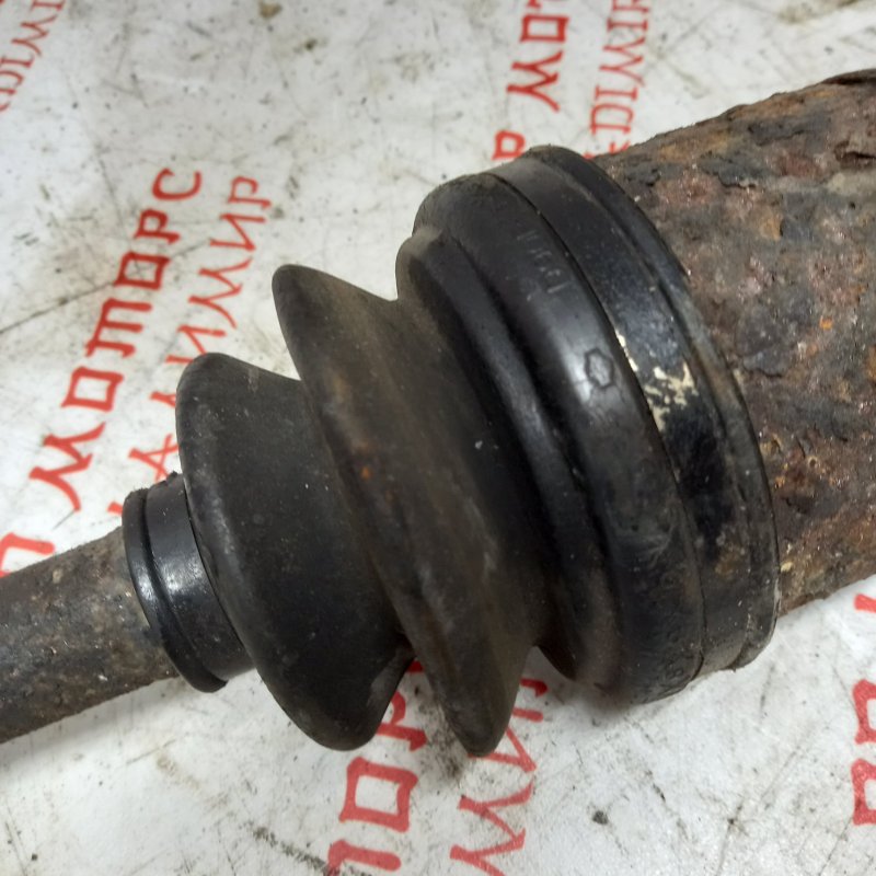 Привод, 4000 рублей, Владимир