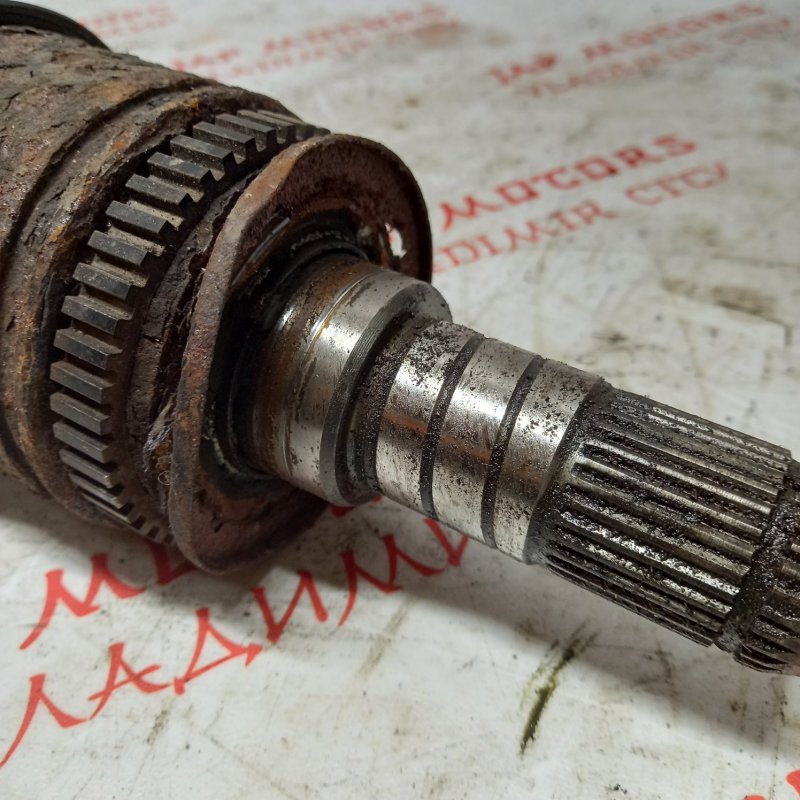 Привод, 4000 рублей, Владимир