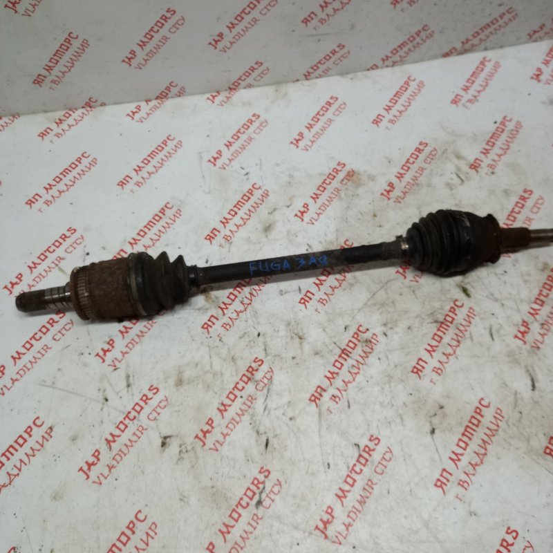 Привод, 4000 рублей, Владимир