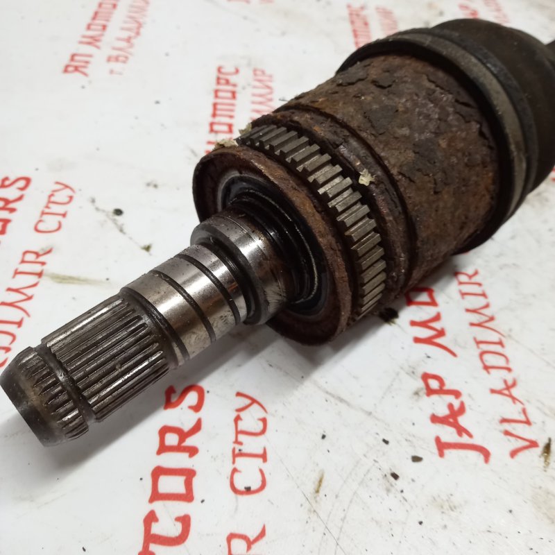 Привод, 4000 рублей, Владимир