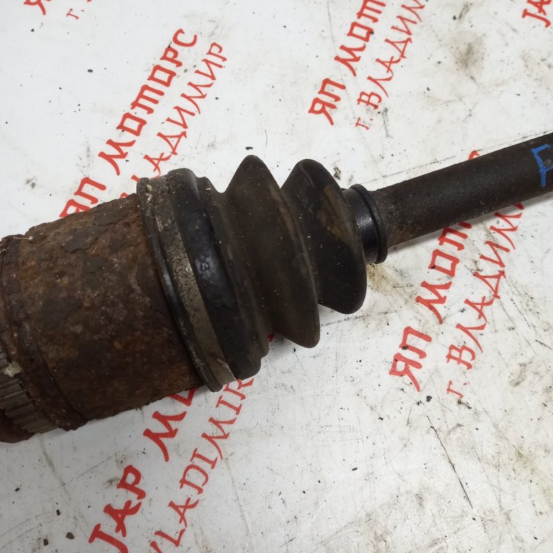 Привод, 4000 рублей, Владимир