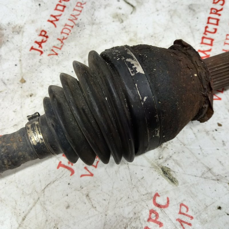 Привод, 4000 рублей, Владимир