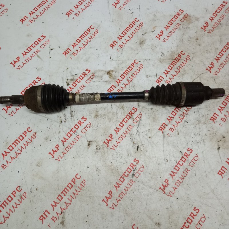 Привод, 4500 рублей, Владимир