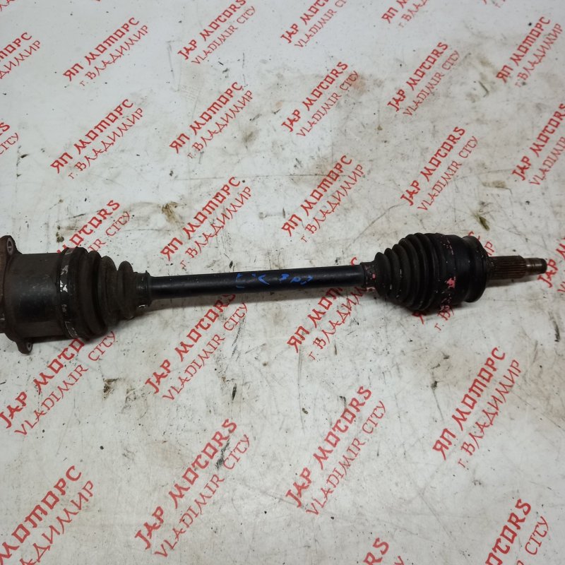 Привод, 5000 рублей, Владимир