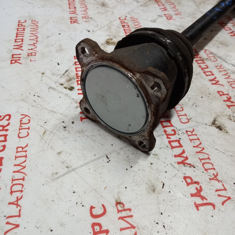 Привод, 5000 рублей, Владимир