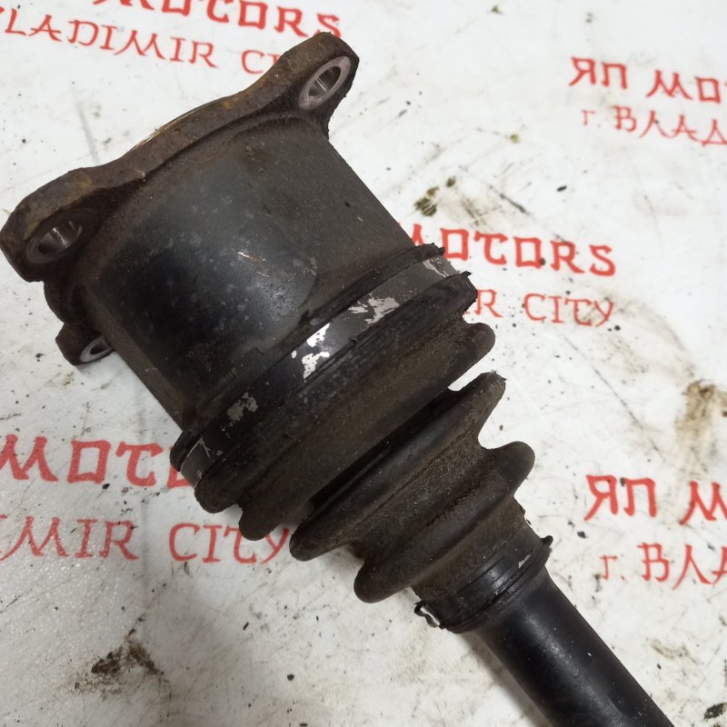 Привод, 5000 рублей, Владимир