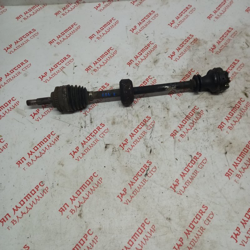 Привод, 3000 рублей, Владимир