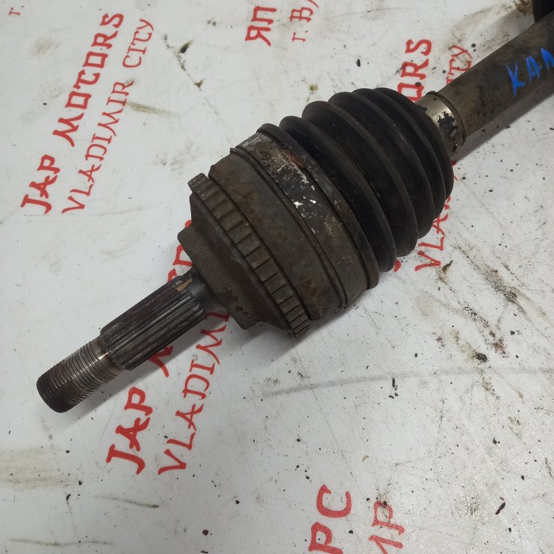 Привод, 3000 рублей, Владимир