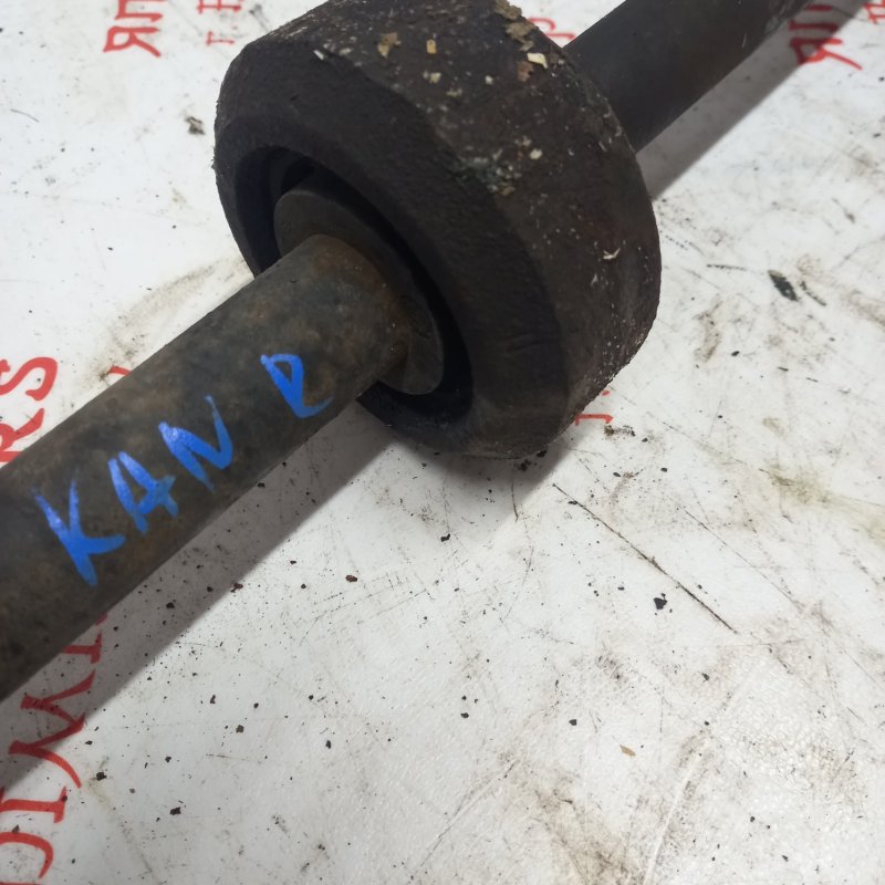 Привод, 3000 рублей, Владимир