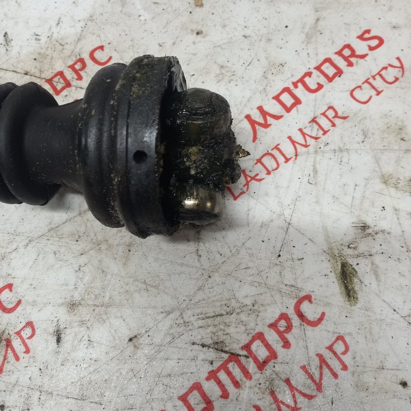 Привод, 3000 рублей, Владимир