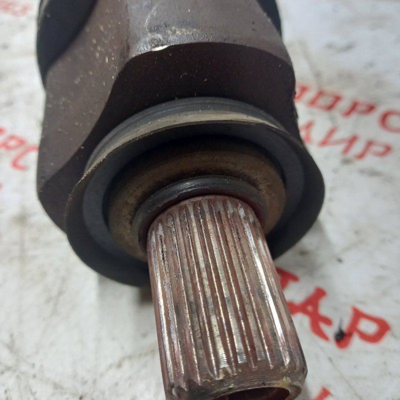 Привод, 3500 рублей, Владимир